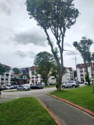 Hougang Avenue 1 (D19), Shop House #506311891